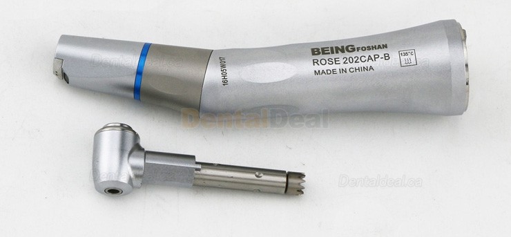 Being&reg; Rose 202-CA(PB) Fiber Optic Contra Angle Fit KAVO Inner Water Spray E type